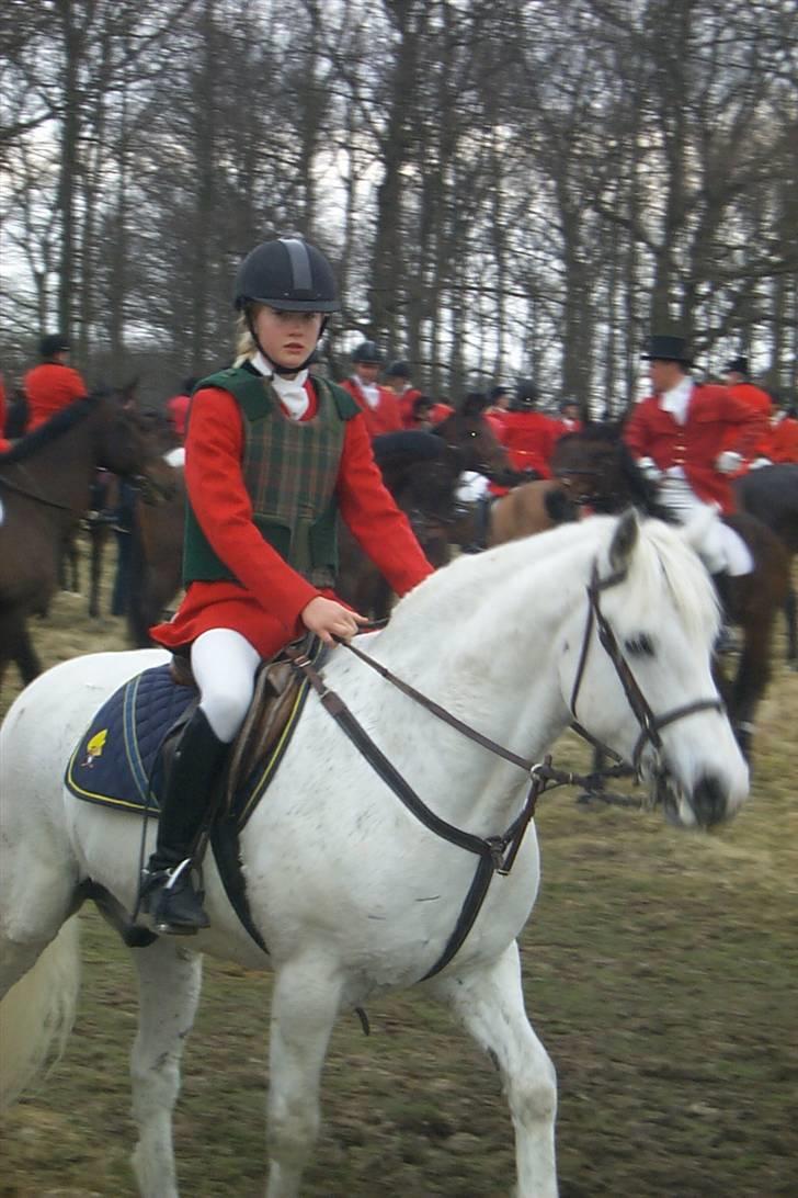 Connemara Earrach billede 4