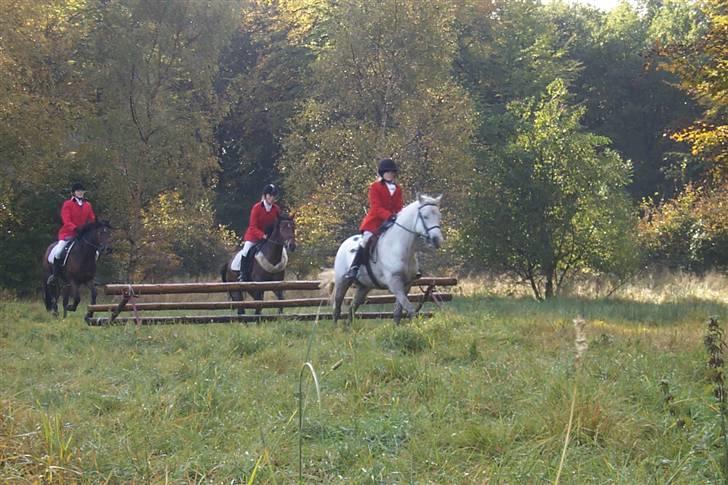 Connemara Earrach billede 5