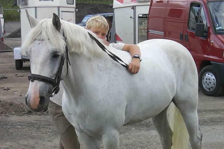 Connemara Earrach billede 6