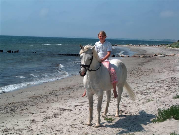 Connemara Earrach billede 8