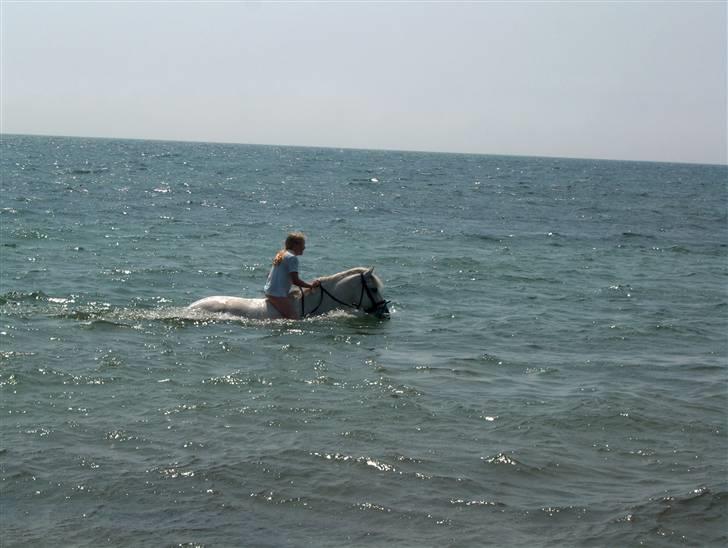 Connemara Earrach billede 9