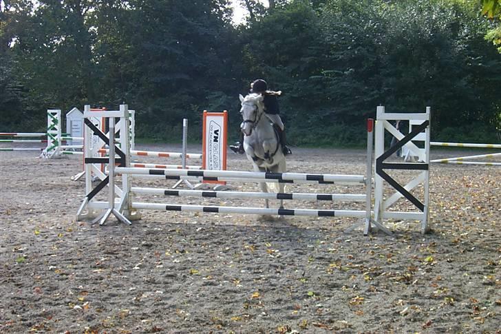 Connemara Earrach billede 10