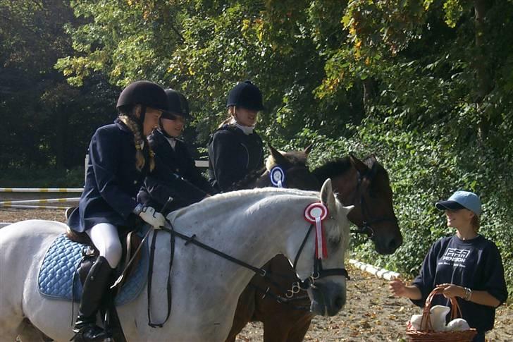 Connemara Earrach billede 11