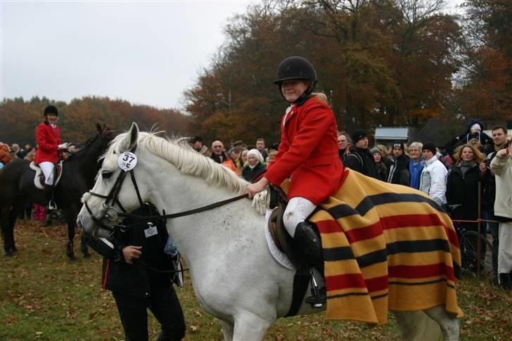 Connemara Earrach billede 12