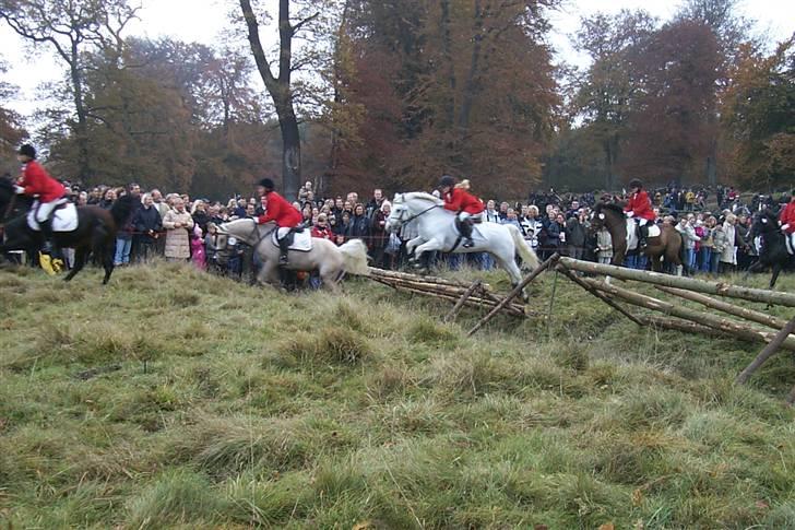 Connemara Earrach billede 13