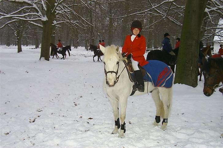 Connemara Earrach billede 15