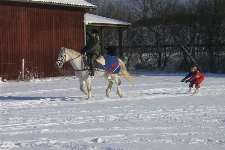 Connemara Earrach billede 16