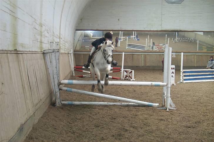 Connemara Earrach billede 18