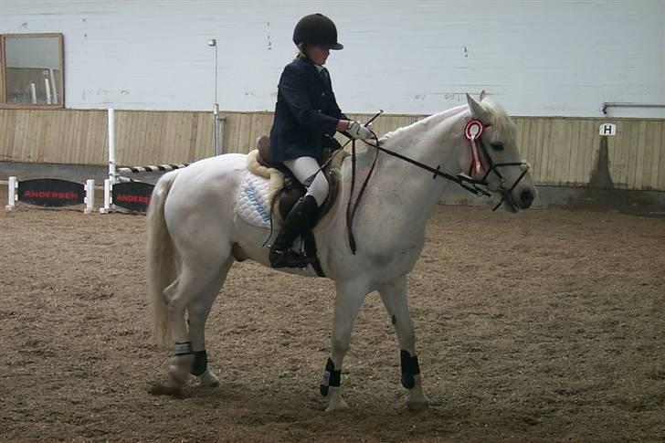 Connemara Earrach billede 19