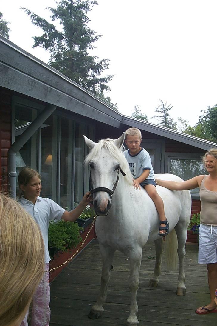 Connemara Earrach billede 20