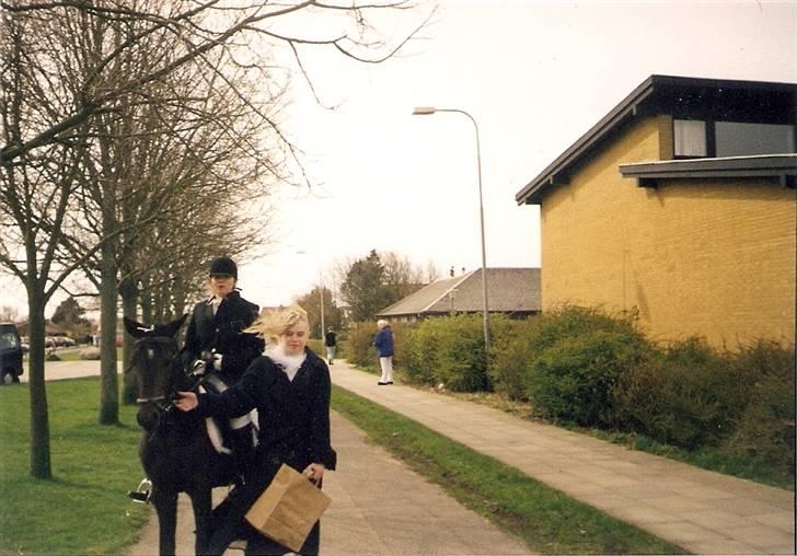 Anden særlig race Ringo (solgt  og efterlys billede 5