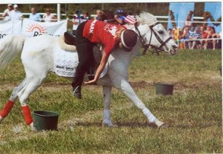 Anden særlig race chicken  R.I.P <3 billede 10