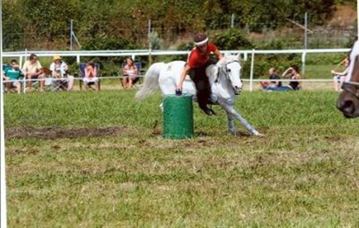 Anden særlig race chicken  R.I.P <3 billede 11