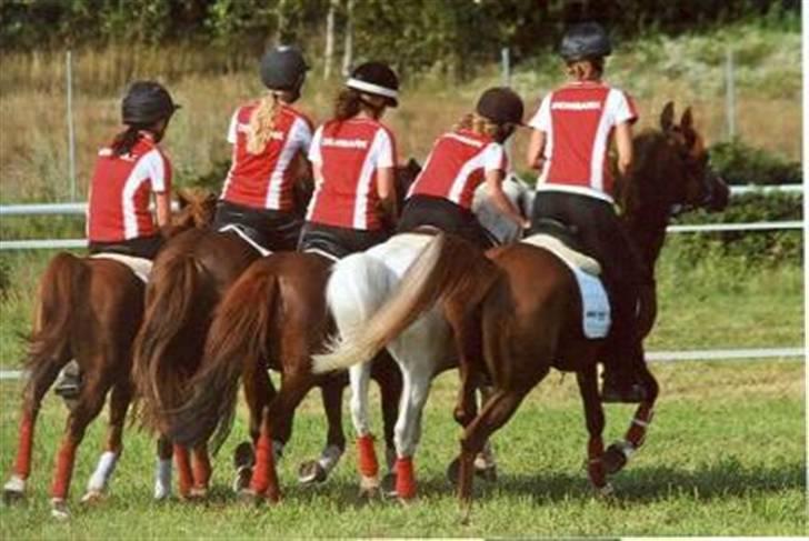 Anden særlig race chicken  R.I.P <3 billede 13