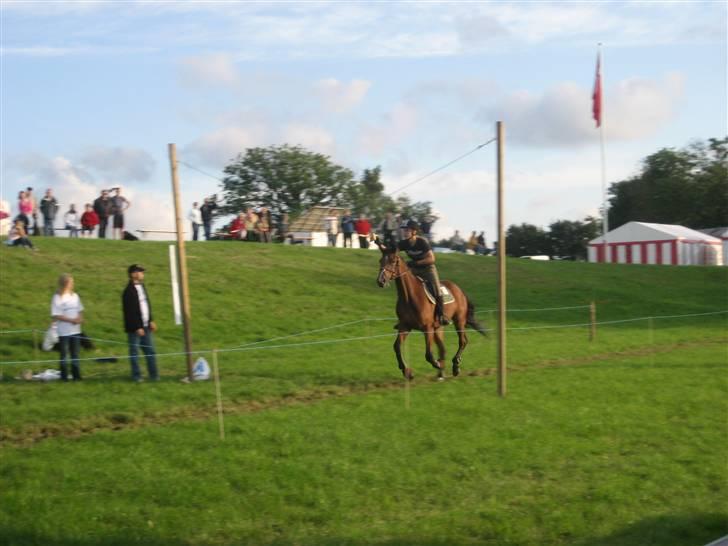 Traver Kalibra Orholm - Ringridning i Hauge 2007 billede 13