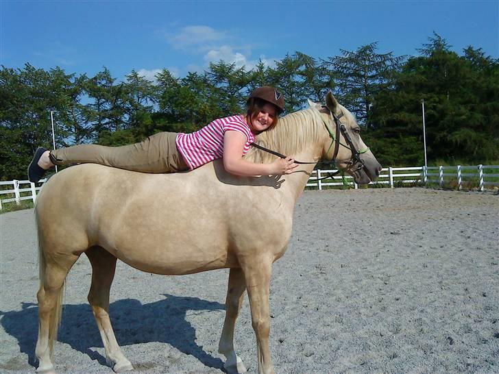 Palomino Åmosens napalina. - Lina og Rikke  billede 8