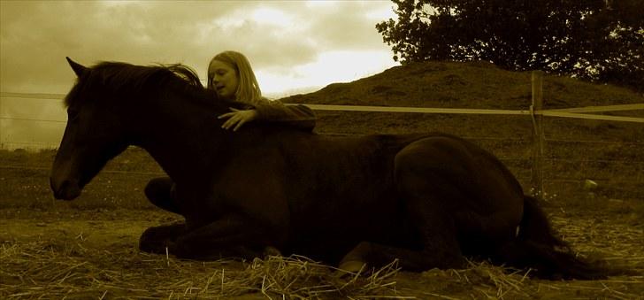 Anden særlig race Pretty - Hvil i fred! - Du er min bedste ven gennem alting. Vil altid være ved din side. Glæde, sygdom hvad som helst.              Fra sommerferien 2010, hvor Pretty var rigtig syg! Tilbragte mange timer ved hendes side, hvor hun var svag til at stå... billede 9