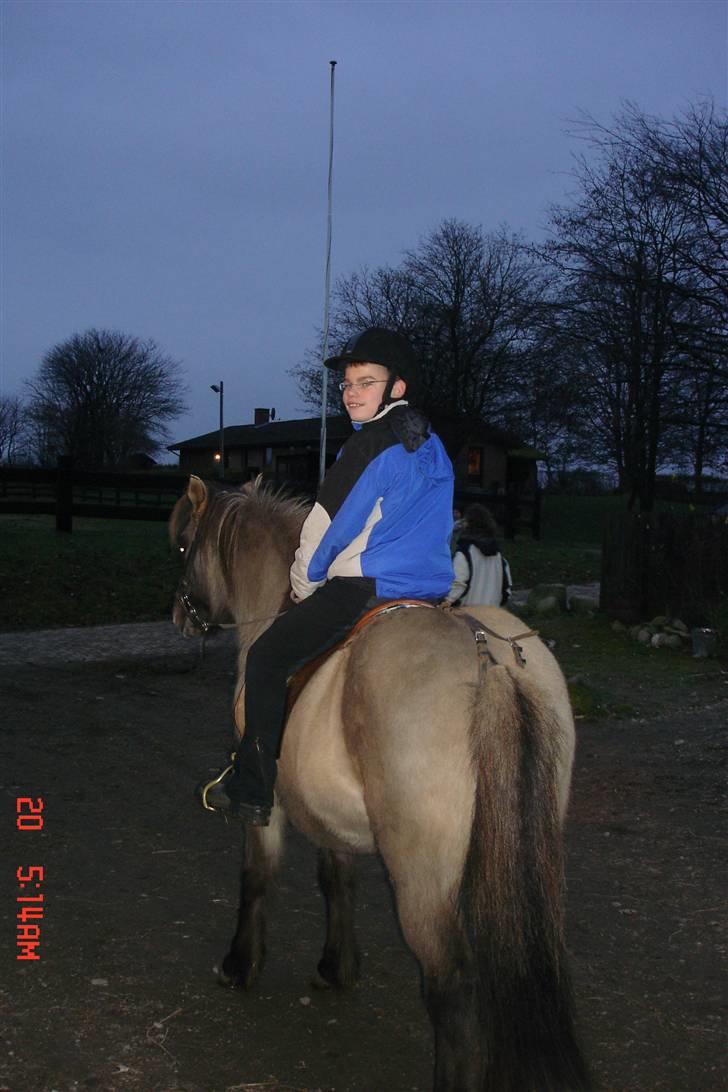 Islænder Disa - "Hvad er de nu også bag mig? billede 6