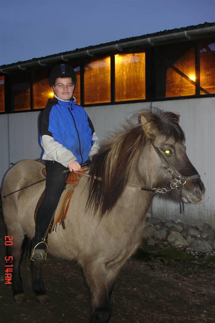 Islænder Disa - Nu rider vi igen! billede 8