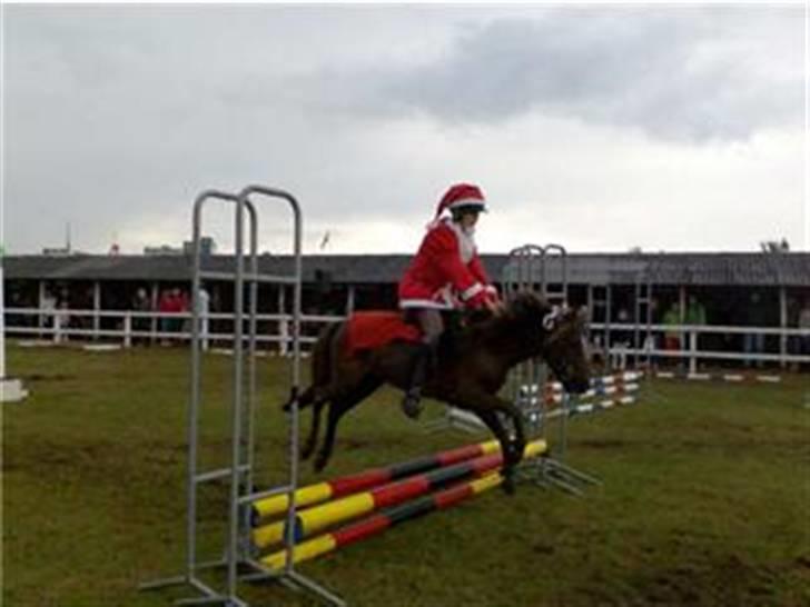 Anden særlig race Victor - Line og victor i kostume spring på børnedyreskuet 2007 :) billede 13