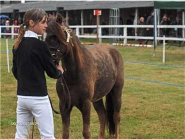 Anden særlig race Victor - Mønstring. børnedyreskue 2007 :) vi er gennembløde billede 14