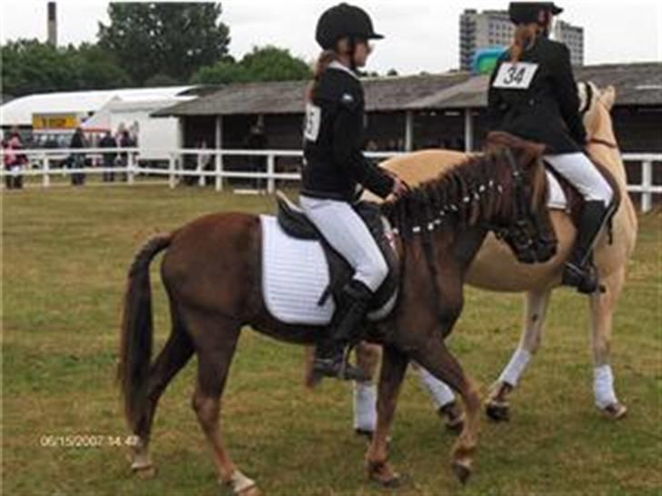 Anden særlig race Victor - Dressur på børnedyreskuet 2007 billede 15