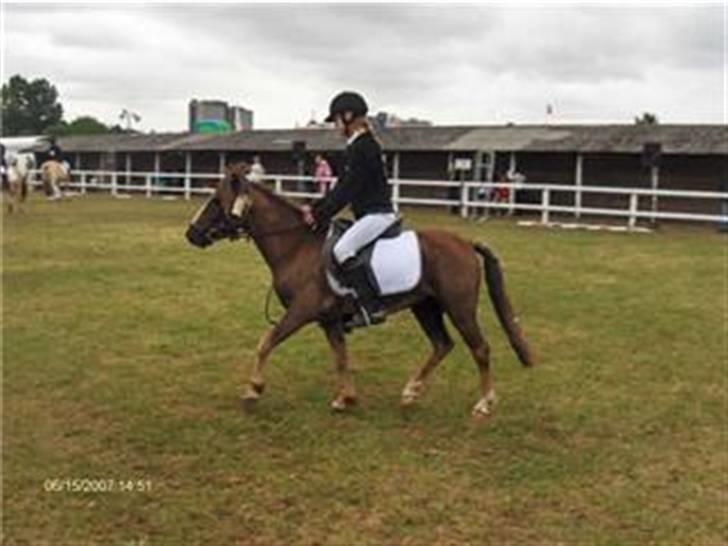 Anden særlig race Victor - Dressur på børnedyreskuet 2007 billede 16