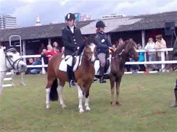Anden særlig race Victor - Primeoverrekelse i spring hvor vi vandt en 2 plads 2007 billede 17