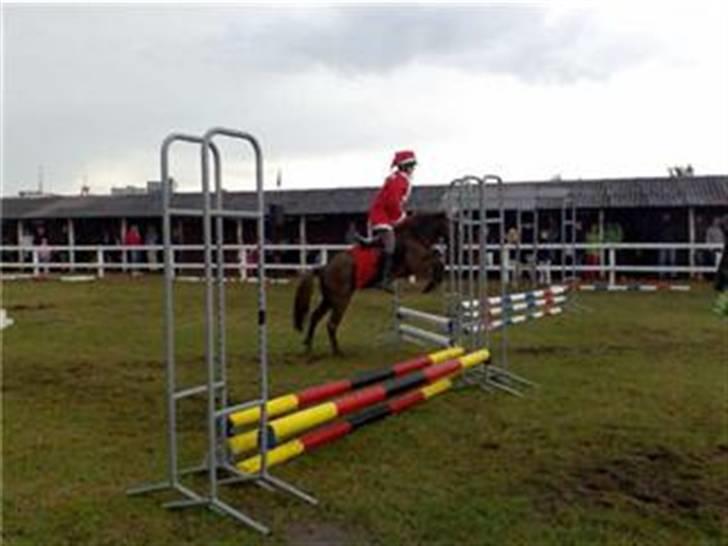 Anden særlig race Victor - Line og victor i kostume spring på børnedyreskuet 2007 :) billede 18