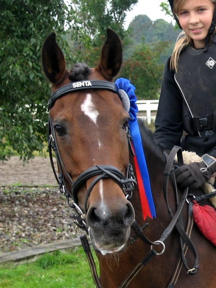 Anden særlig race Senta - " Fordi du er en vinder pony " :´) & fordi vi har vundet så meget sammen ! :´)  billede 14