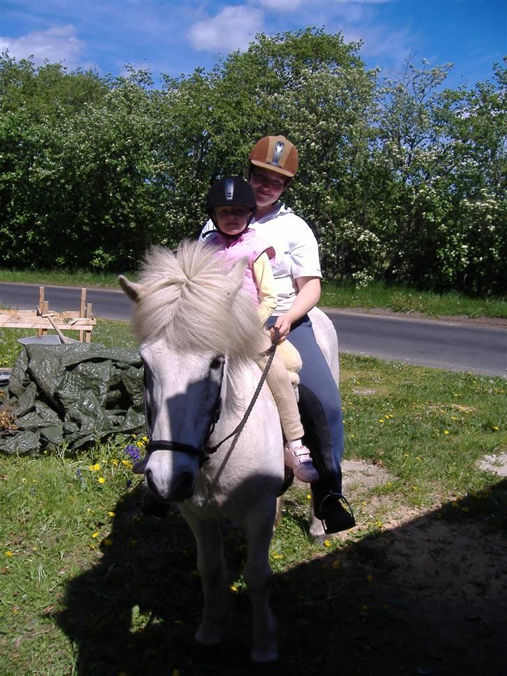 Islænder Litli Gráni f Laugabæ RIP - Gráni, Sandra og mig netop hjemvendt efter en dejlig ridetur, med næ´sten alle gangarter. Ingen pas med den lille pige siddende der. billede 10