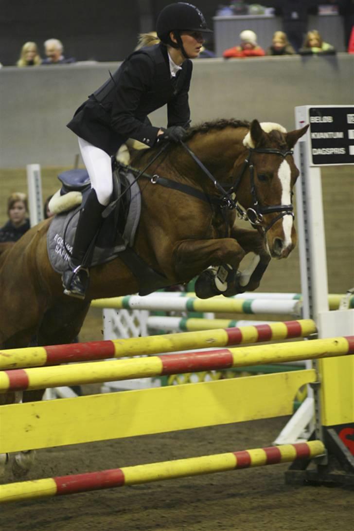 DSP Egehøjs Safir - Mig og Safir i en La i Fredericia. Elsker den pony så meget ! <3 d.07.11.07 billede 14