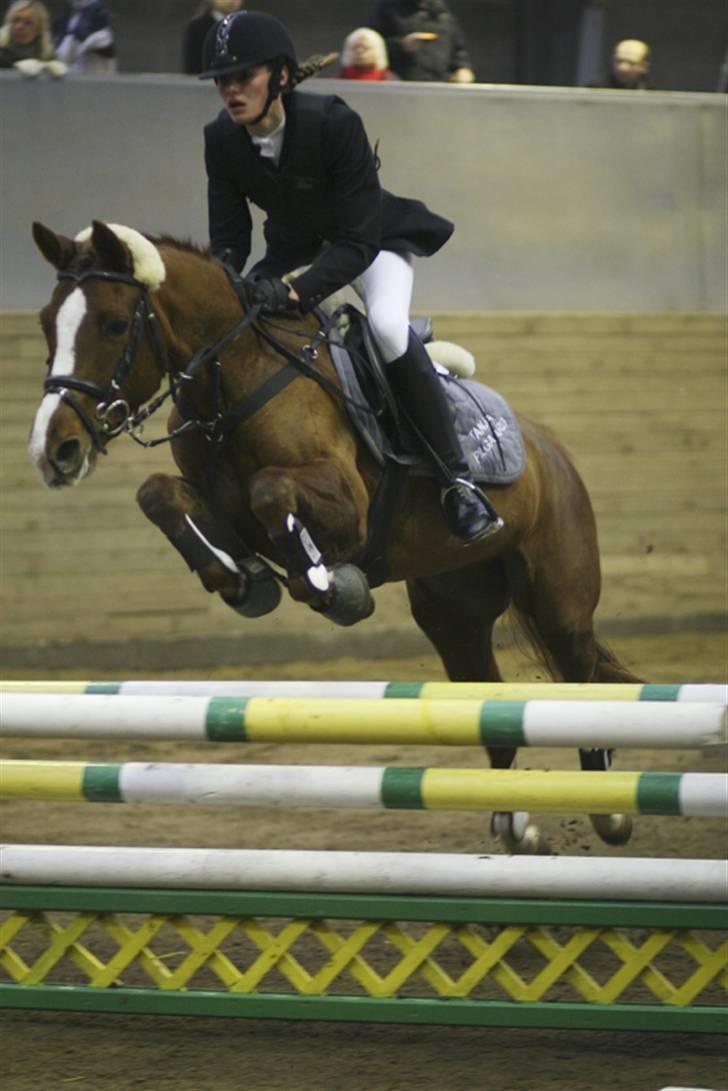 DSP Egehøjs Safir - Mig og Safir i La <3d.07.11.07 billede 15