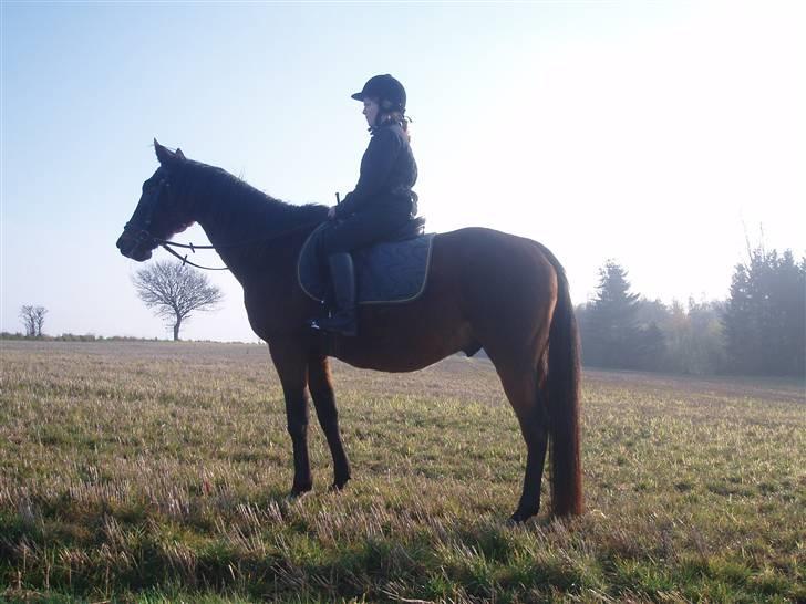 Traver Delvin Key - Isabella på Delvin, da vi var faret vild .. XD  billede 17