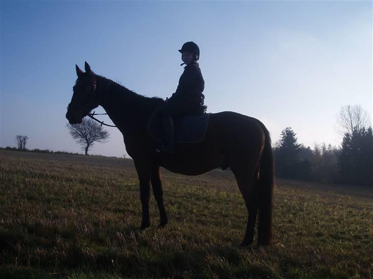 Traver Delvin Key - Isabella på Delvin Igen ..  billede 18