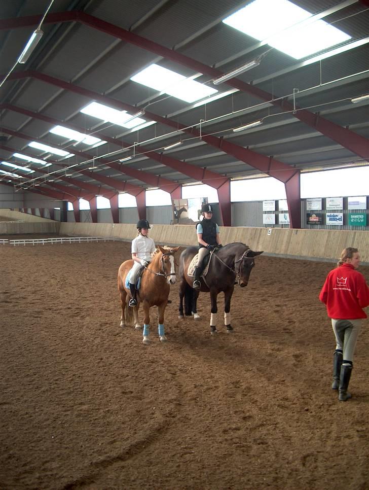 Oldenborg Rexido - Til præmieoverrækelse vi vandt (Foto: mor) billede 6