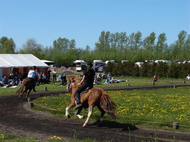 Islænder Lipurtá fra Stenholt - Lipurtá i galop xD Bededagsstævne 2007 på Katulabo, 4.5 billede 14