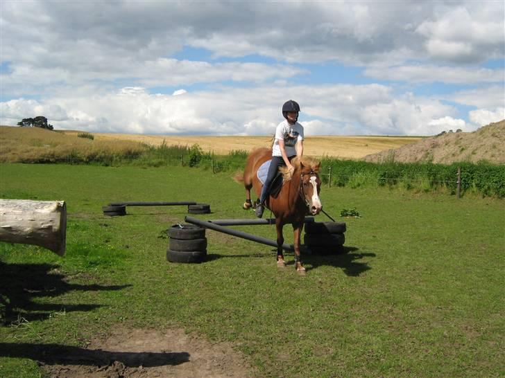 Anden særlig race Rosita solgt :´(   - Hvor er det sjovt med dig Rosita<3 Foto : min mor billede 14