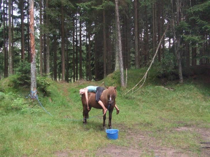 Anden særlig race $¤Chevy¤$ BÆVEREN XD - Er hun faldet i søvn igen?... Smider hende af så hun vågner hehe... ;P billede 15