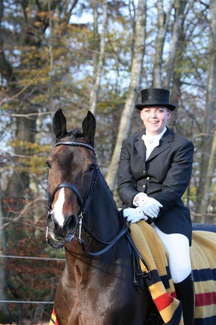 Anden særlig race Monark - A-hest i dressur - <3 Han er så fin ham Monarken! <3 Foto: Aino Bjerre billede 14