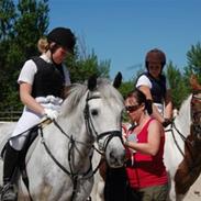 New Forest L.  vanille savnet :'(