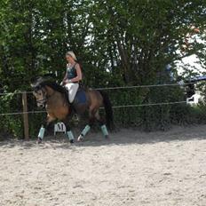 Anden særlig race filuka