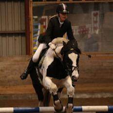 Irish Cob Mars SOLGT ;(;(