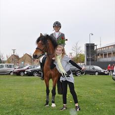 Anden særlig race Petit 