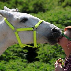 Cruzado Chico - REST IN PEACE MY ANGEL :'( <3