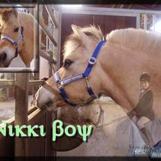 Fjordhest Nikki boy !<3 #Halvpart#