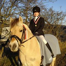 Fjordhest Nikki boy !<3 #Halvpart#