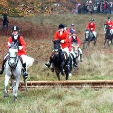 New Forest Eskehøjgaards Mørk Natvio