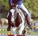 Irish Cob Mars SOLGT ;(;(