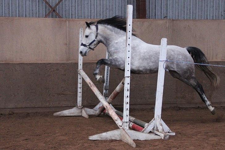 DSP Ida Søblink - Foto: Malene Madsen (mig) billede 17